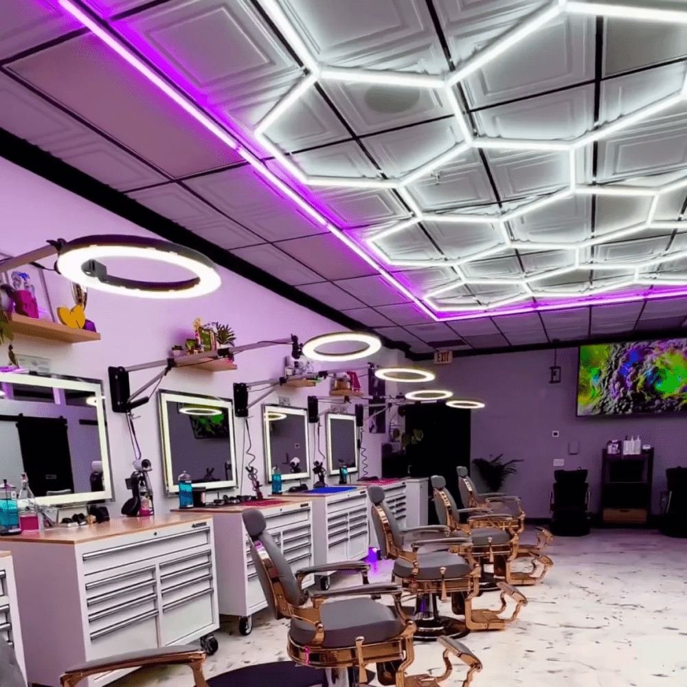 Hexagon Lights – 15 Grid Color Border LED Garage Lighting (15.7' × 7.9' / 4.8 m × 2.4 m) for Garage HEXLEDLIGHTING Pic 14